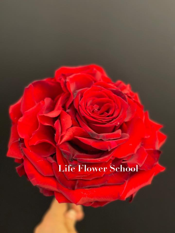 情人節花藝工作坊